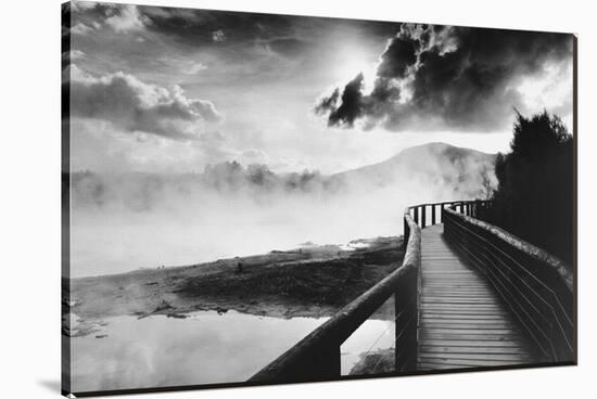Path to Volcao, Rotorua, New Zealand-null-Stretched Canvas