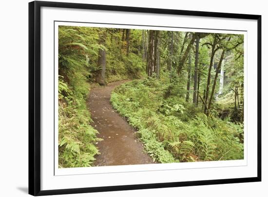 Path To Waterfall-Donald Paulson-Framed Giclee Print