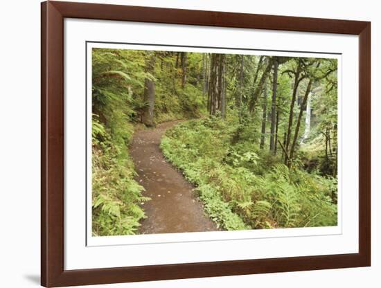 Path To Waterfall-Donald Paulson-Framed Giclee Print