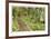 Path To Waterfall-Donald Paulson-Framed Giclee Print