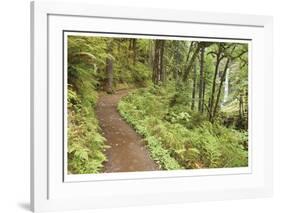 Path To Waterfall-Donald Paulson-Framed Giclee Print