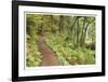 Path To Waterfall-Donald Paulson-Framed Giclee Print