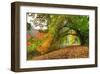 Path Under a Big Autumn Tree-null-Framed Art Print