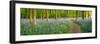 Path Winds Through a Carpet of Bluebells in a Wood in Hertfordshire, UK-Dan Tucker-Framed Photographic Print