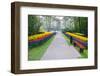 Path with Spring Flowers-Colette2-Framed Photographic Print