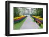 Path with Spring Flowers-Colette2-Framed Photographic Print