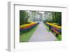 Path with Spring Flowers-Colette2-Framed Photographic Print