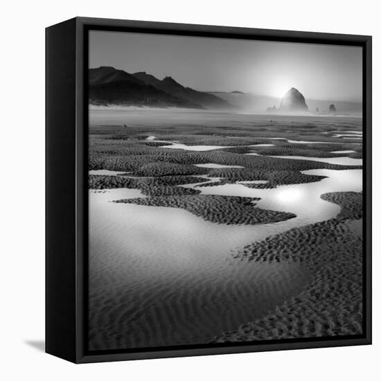 Path-Moises Levy-Framed Stretched Canvas