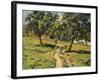 Pathe at Damiette, circa 1886-Armand Guillaumin-Framed Giclee Print