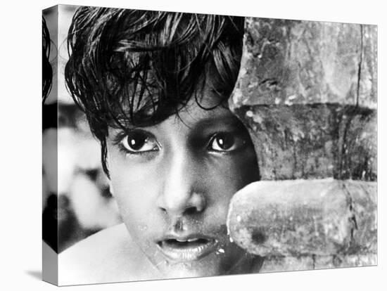 Pather Panchali, Subir Bannerjee, 1955-null-Stretched Canvas