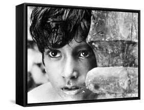 Pather Panchali, Subir Bannerjee, 1955-null-Framed Stretched Canvas