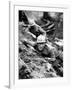 Paths Of Glory, Kirk Douglas, In The Trenches, 1957-null-Framed Photo