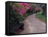 Pathway and Bench in Magnolia Plantation and Gardens, Charleston, South Carolina, USA-Julie Eggers-Framed Stretched Canvas