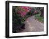 Pathway and Bench in Magnolia Plantation and Gardens, Charleston, South Carolina, USA-Julie Eggers-Framed Photographic Print