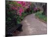 Pathway and Bench in Magnolia Plantation and Gardens, Charleston, South Carolina, USA-Julie Eggers-Mounted Photographic Print