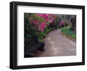 Pathway and Bench in Magnolia Plantation and Gardens, Charleston, South Carolina, USA-Julie Eggers-Framed Photographic Print