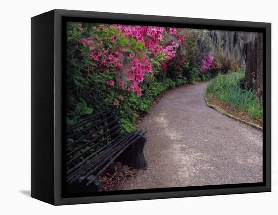 Pathway and Bench in Magnolia Plantation and Gardens, Charleston, South Carolina, USA-Julie Eggers-Framed Stretched Canvas