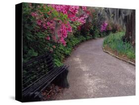 Pathway and Bench in Magnolia Plantation and Gardens, Charleston, South Carolina, USA-Julie Eggers-Stretched Canvas