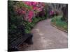 Pathway and Bench in Magnolia Plantation and Gardens, Charleston, South Carolina, USA-Julie Eggers-Stretched Canvas