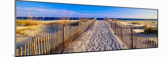 Pathway and Sea Oats on Beach at Santa Rosa Island Near Pensacola, Florida-null-Mounted Photographic Print