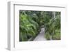 Pathway, Hemingway House, Hemingway Museum, Finca Vigia, Havana, Cuba-Adam Jones-Framed Photographic Print