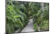 Pathway, Hemingway House, Hemingway Museum, Finca Vigia, Havana, Cuba-Adam Jones-Mounted Photographic Print