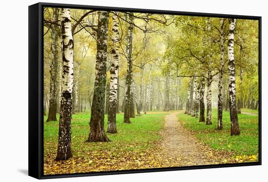 Pathway in Autumn Fog Birch Forest-LeniKovaleva-Framed Stretched Canvas