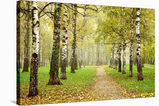 Pathway in Autumn Fog Birch Forest-LeniKovaleva-Stretched Canvas
