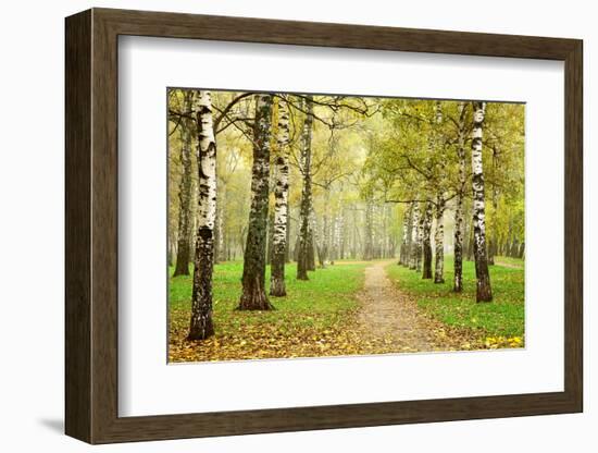 Pathway in Autumn Fog Birch Forest-LeniKovaleva-Framed Photographic Print