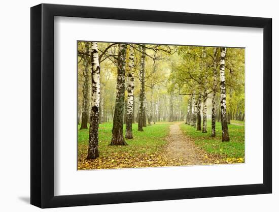 Pathway in Autumn Fog Birch Forest-LeniKovaleva-Framed Photographic Print