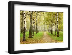 Pathway in Autumn Fog Birch Forest-LeniKovaleva-Framed Photographic Print