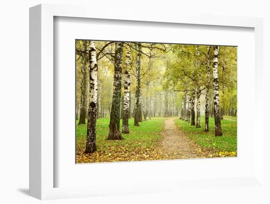 Pathway in Autumn Fog Birch Forest-LeniKovaleva-Framed Photographic Print