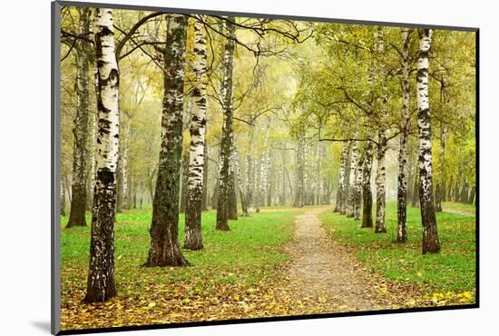 Pathway in Autumn Fog Birch Forest-LeniKovaleva-Mounted Photographic Print