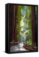 Pathway in Forest-Lantern Press-Framed Stretched Canvas