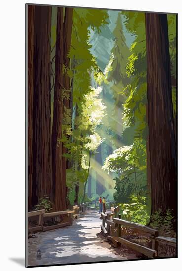 Pathway in Forest-Lantern Press-Mounted Art Print