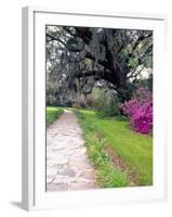 Pathway in Magnolia Plantation and Gardens, Charleston, South Carolina, USA-Julie Eggers-Framed Photographic Print