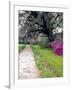 Pathway in Magnolia Plantation and Gardens, Charleston, South Carolina, USA-Julie Eggers-Framed Photographic Print