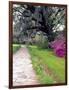 Pathway in Magnolia Plantation and Gardens, Charleston, South Carolina, USA-Julie Eggers-Framed Photographic Print