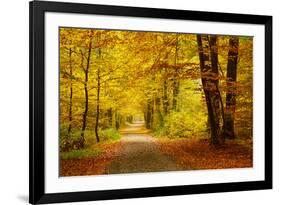 Pathway in the Autumn Forest-sborisov-Framed Photographic Print