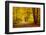 Pathway in the Autumn Forest-sborisov-Framed Photographic Print