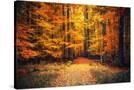 Stretched Canvas