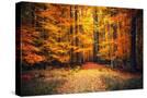 Stretched Canvas