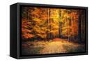 Canvas Black