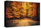 Stretched Canvas