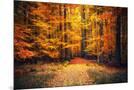 Wood Mount