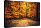 Stretched Canvas