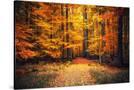 Stretched Canvas