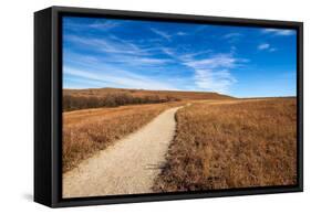 Pathway into the Prairie-tomofbluesprings-Framed Stretched Canvas