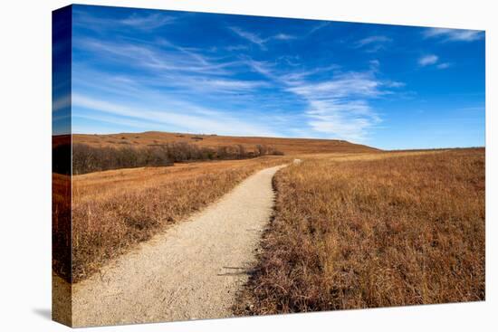 Pathway into the Prairie-tomofbluesprings-Stretched Canvas