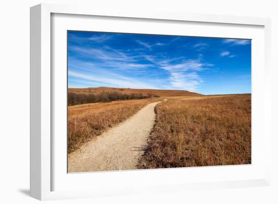 Pathway into the Prairie-tomofbluesprings-Framed Photographic Print